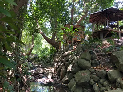 La rivière au pied du carbet