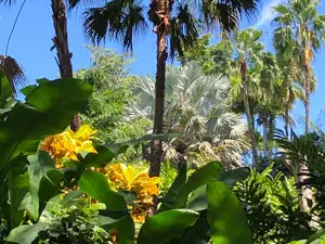 Jardins de Deshaies