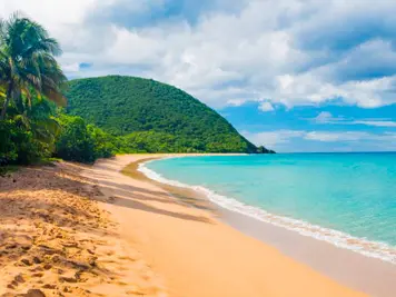 Plage de Grande Anse à 200 m