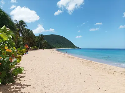 À 200 m de la Plage de Grande Anse